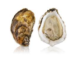 Blue Point Oysters Eating Oysters Oysters Blue Point