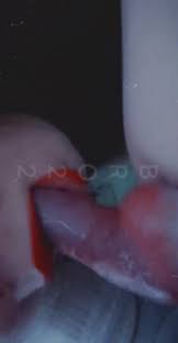 cainecountess sucks dog - BestialitySexTaboo - Bestiality Sex Taboo