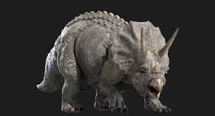 Triceratops Rigged 3d Model In 2020 3d Model Model Rigs