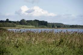 En smuk, men blæsende dag ved randers fjord Pilotnaturpark Randers Fjord Lex Dk Trap Danmark