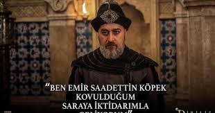 Ben Emir Saadettin Kopek Kovuldugum Saraya Iktidarimla Geliyorum Beautiful Series Movie Posters Beautiful