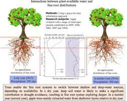 Drought Responses Of Profile Plant Available Water And Fine Root Distributions In Apple Malus Pumila Mill Orchards In A Loessial Semi Arid Hilly Area Of China Sciencedirect