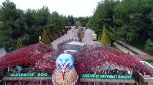 (0342) 360 58 40(0342) 360 58 40. Gaziantep Hayvanat Bahcesi Nin Muzmin Bekarlarina Es Araniyor Dailymotion Video