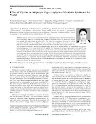 700 thousand €* may 4, 1998 in taxco de alarcón, mexico. Pdf Effect Of Glycine On Adipocyte Hypertrophy In A Metabolic Syndrome Rat Model