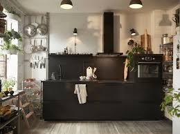 Ideen Fur Deine Kucheneinrichtung Ikea Kitchen Inspiration Kungsbacka Ikea Small Kitchen
