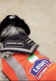 Learn about airline pet policies and how you can avoid them! He Couldn T Get A Job Because Of His Service Dog Then Lowe S Decided To Hire Them Both The Dog People By Rover Com