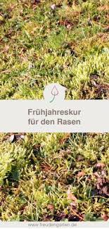 Rasen Im Fruhjahr Pflegen Vertikutieren Und Dungen U Rasen Dungen Garten Garten Bepflanzen