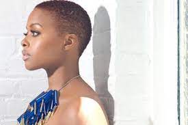 Pin By Doug Carolyn Miles On Short Hair Styles Natural Hair Styles Short Natural Hair Styles Hair Today