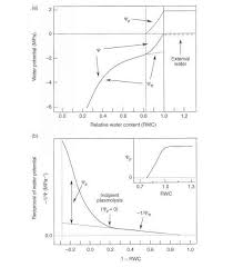 We did not find results for: The Hofler Diagram And The Pressurevolume Curve Water Potential