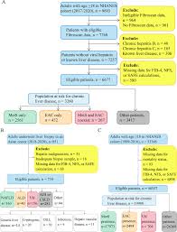Image result for Fibrosis Probability Score