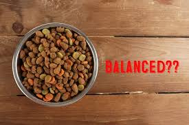 Too often, people think that they're feeding healthy homemade dog food, when key ingredients may be. How To Safely Feed Your Shiba Inu A Balanced Homemade Diet That S Vet Approved My First Shiba Inu