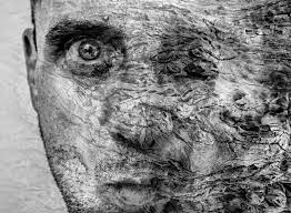 I wonder if i can make a model of this. i mumble, drawing up a fluxline. 16 744 Metamorphosis Photos Free Royalty Free Stock Photos From Dreamstime