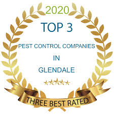 Thankfully, there is a great pest control company locally that ran a special where i could have our entire house and yard sprayed with pesticides to ward off ticks. Pest Control Phoenix Az 1 Best Pest Exterminator 100 Guarantee