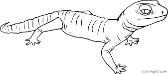 Search through 623,989 free printable colorings at getcolorings. Realistic Gecko Coloring Page Coloringall