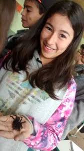 Plano da Intervenção