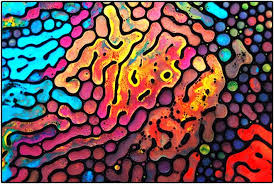 Aquarel Met Ferrofluid Kunst Ferrofluid Art Ferrofluid Fluid Art