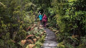 La Ruta de los Parques » Videos