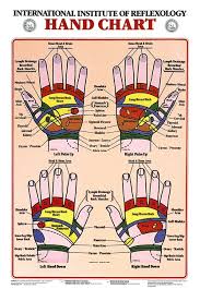 Hand Reflexology Anatomical Chart