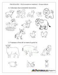 Puteți avea un puzzle cu animalele preferate ale copiilor dumneavoastră descărcând fișa și. Pin On Activitati Montessori