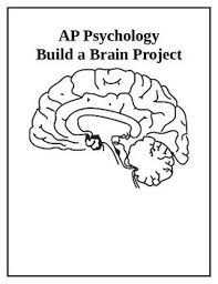 Ap Psychology Build A Brain Project Ap Psychology Psychology High School Project