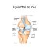 It's most commonly torn during. 1