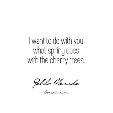  Pin By Kim Brennecke On Couldn T Have Said It Better Cherry Quotes Literary Love Quotes Blossom Quotes