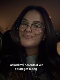 My perfect, handsome boy #chocolatelab #dog #doglover #fyp