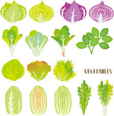 フリーイラスト 葉茎菜類の野菜のセット パブリックドメインq 著作権フリー画像素材集