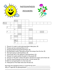 We did not find results for: Photosynthesis Crossword Teaching Resources