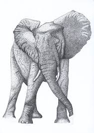 My First College Assignment We Were Given The Outer Outline Of An Elephant A Reference Photo And We Had To Fill Stippling Art Pointillism Elephant Drawing