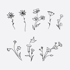 Free download flower svg icons for logos, websites and mobile apps, useable in sketch or adobe illustrator. Free Wildflowers Vector Clip Art Hand Drawn Line Drawing Digital Illustrations Eps Svg Png Pdf Jpeg Files Instant Download Gogivo
