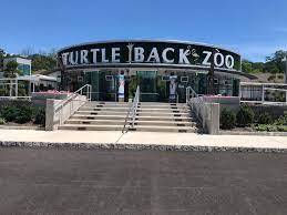Imo it had the right balance of challenge and ease. Turtle Back Zoo Wikiwand
