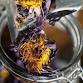 Costa Rica Herbal Traditions: Tea Blending Experie... event in Puntarenas Province