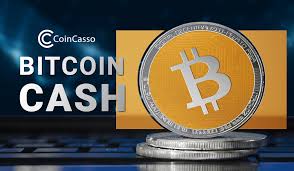 What's the future of bitcoin you ask? Bitcoin Cash What Is It And Is It Worth