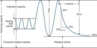 spirogram with volumes and measurements respiratory