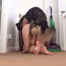 Animal Sex With Girl Gif | Sex Pictures Pass
