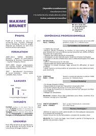 Curriculum Vitae Creation Jpg 2 481 3 508 Pixels Modele Cv Cv Francais Modele Cv Gratuit