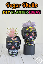 Begin drawing the skull with an oval shape. Beautiful Sugar Skull Planters To Decorate Your Day Of The Dead Altar