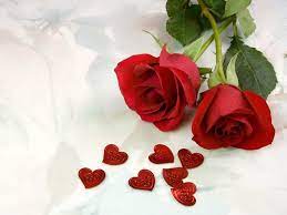 Beautiful Rose Flower Wallpaper Free Download Red Free Download Beautiful Red Rose Pictures Hd Wallpapers1 Beautiful Red Roses Red Roses Rose Day Wallpaper