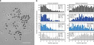Our currency rankings show that the most popular chinese yuan renminbi exchange rate is the cny to usd rate. Footprints Of Parasitism In The Genome Of The Parasitic Flowering Plant Cuscuta Campestris Nature Communications