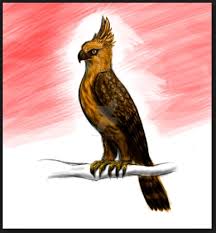 Maybe you would like to learn more about one of these? 58 Gambar Burung Elang Dan Warnanya Terbaru Gambar Hewan