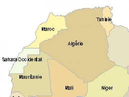 We did not find results for: Algerie Mauritanie Appel D Offres Pour La Creation D Une Route