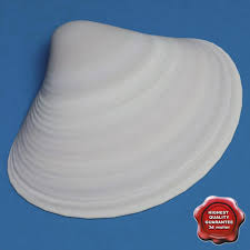 Ark Shell 3d Model Ad Ark Shell Model Ark Shell 3d Model Shells