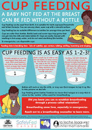 4:1 ratio of formula to breast milk. Cup Feeding Australian Breastfeeding Association