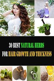 Bhringraj oil is very popular used for various hair problems. 30 Best Natural Herbs For Hair Growth And Thickness Kindle Edition By Corazo Nicholas Religion Spirituality Kindle Ebooks Amazon Com