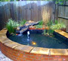 Go around those bricks and get myself a. My Koi Pond July 2015