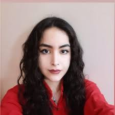 💪 👩‍💻 👨‍💻 The heroes of #MIDL2025 SCI Institute staff and student  volunteers who made sure everything ran smoothly.