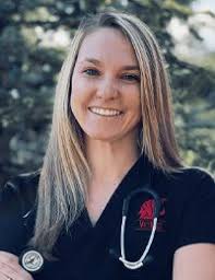 Our Veterinary Team in Millis, MA