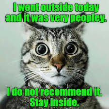 It S Definitely Too Peopley Out There Have A Great Day Funny Cats Funniest Cat Memes Funny Cat Memes