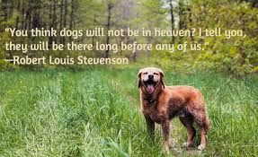 …the sad part is, that i will probably end up loving you without you for much longer than i loved you when i knew you. Quotes About Loss Of Dog Quotesgram